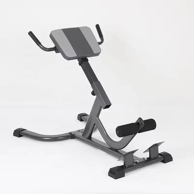 Home Gym Hamstring Exercises - 2026 Steel Roman Chair Adjustable Lower
