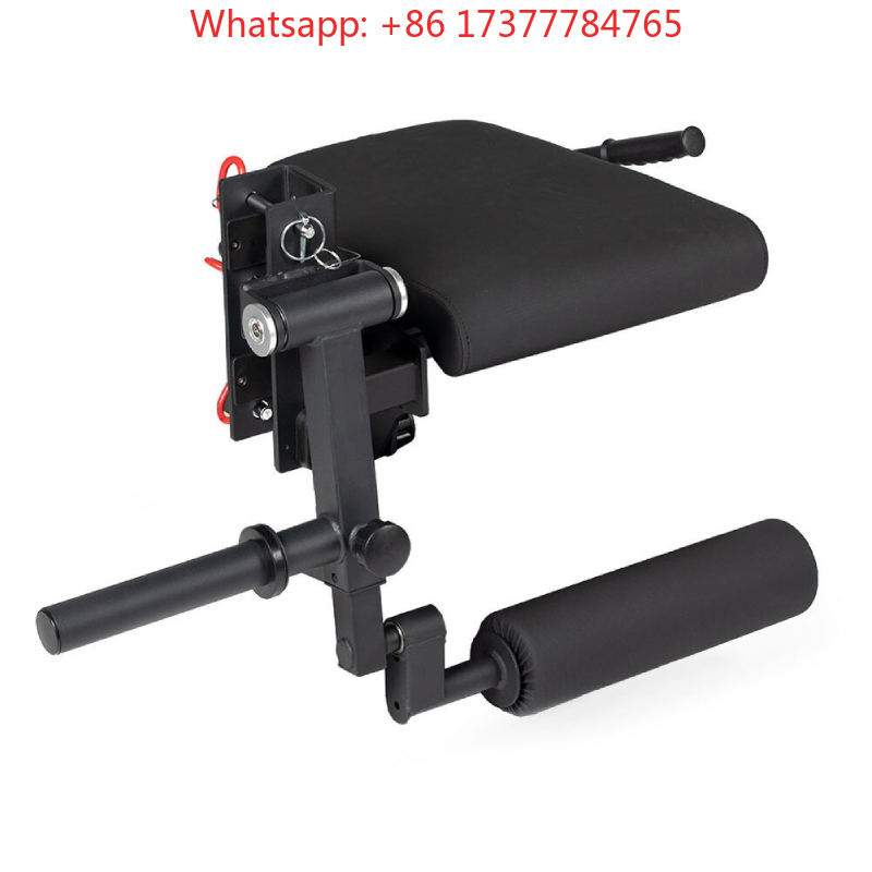 Home Gym Leg Training Machine  - Home Gym Hamstring Exercises ulasan dan harga