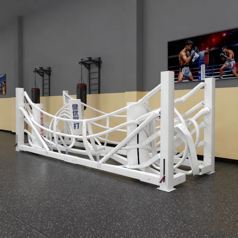Foldable Gym Boxing Ring Set S - Home Gym Foldable ulasan dan harga