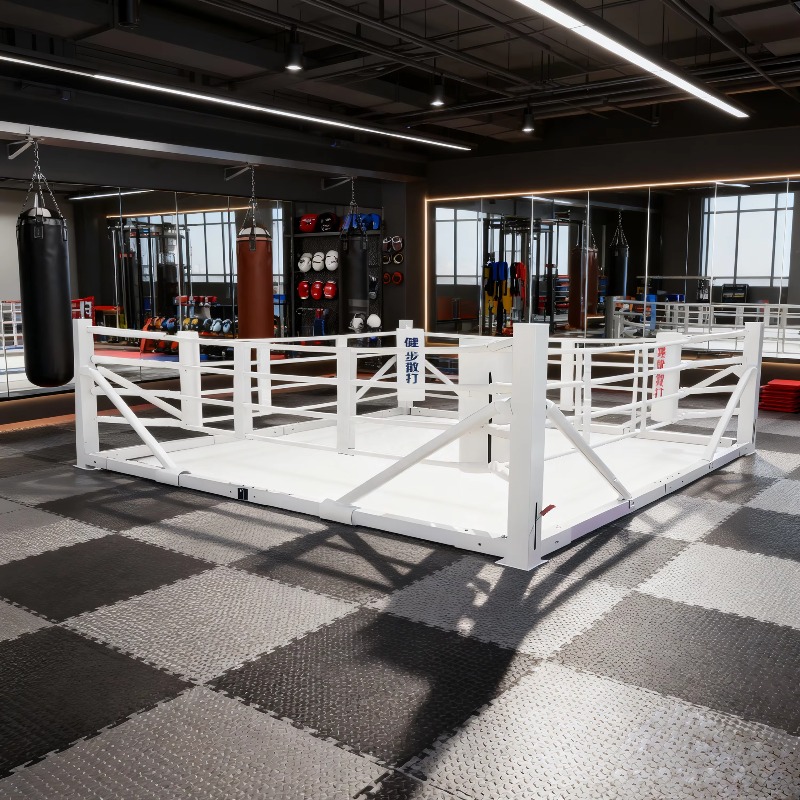 Foldable Gym Boxing Ring Set S - Home Gym Foldable ulasan dan harga