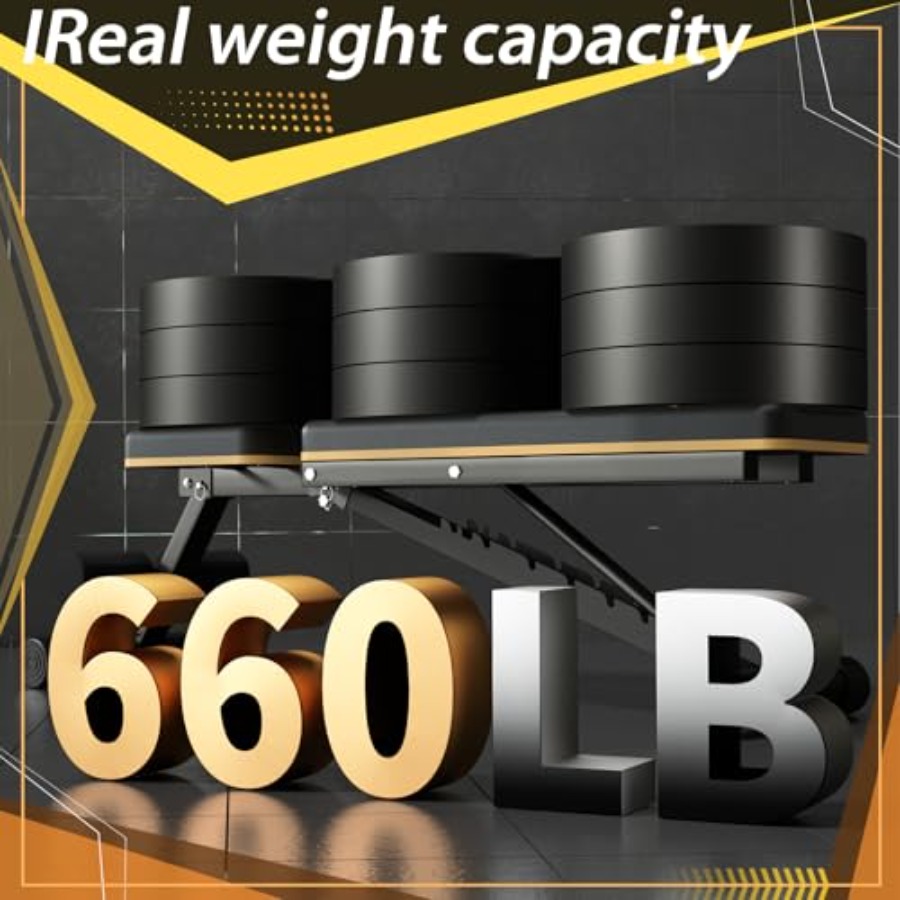 Adjustable Weight Bench for Ho - Home Gym Weight Bench ulasan dan harga