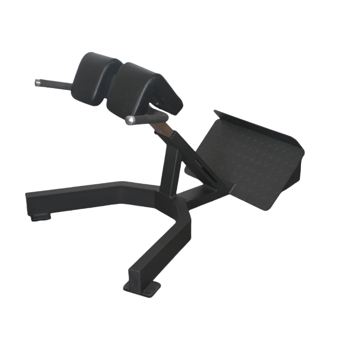 Factory Price Roman Chair Back - Home Gym Leg Extension ulasan dan harga