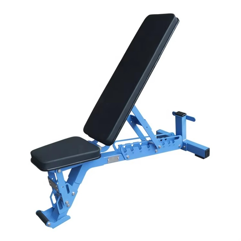 Commercial Foldable Flat Dumbb - Home Gym Foldable ulasan dan harga