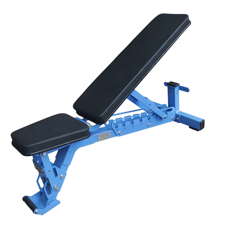 Commercial Foldable Flat Dumbb - Home Gym Foldable ulasan dan harga