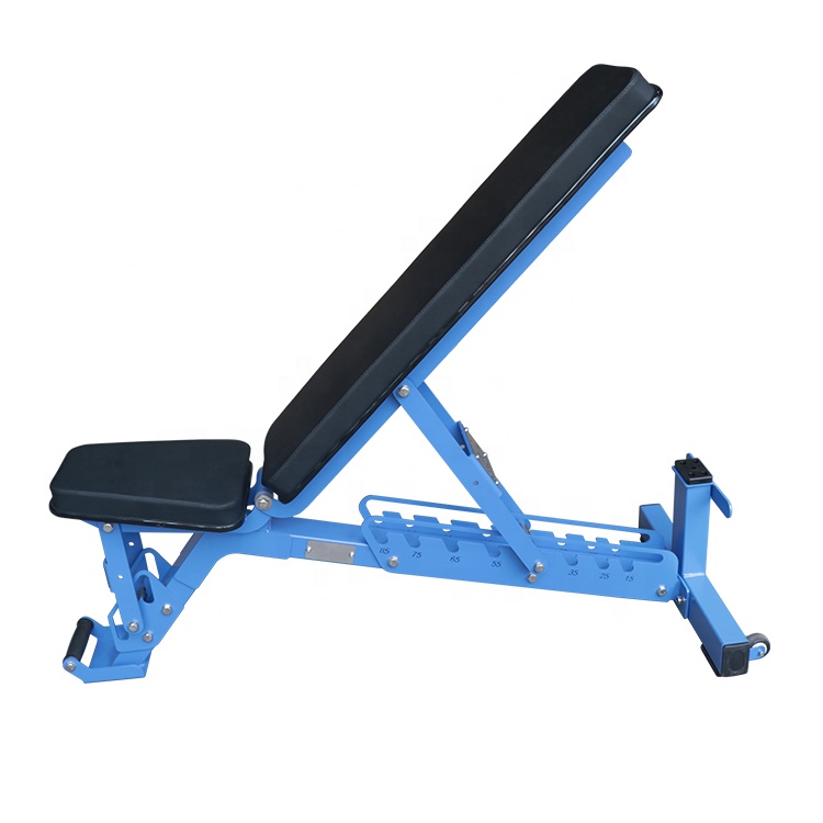 Commercial Foldable Flat Dumbb - Home Gym Foldable ulasan dan harga